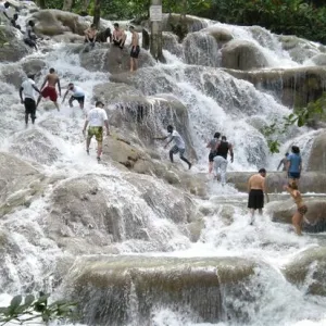 Dunn’s River Falls & Dolphin Cove Ocho